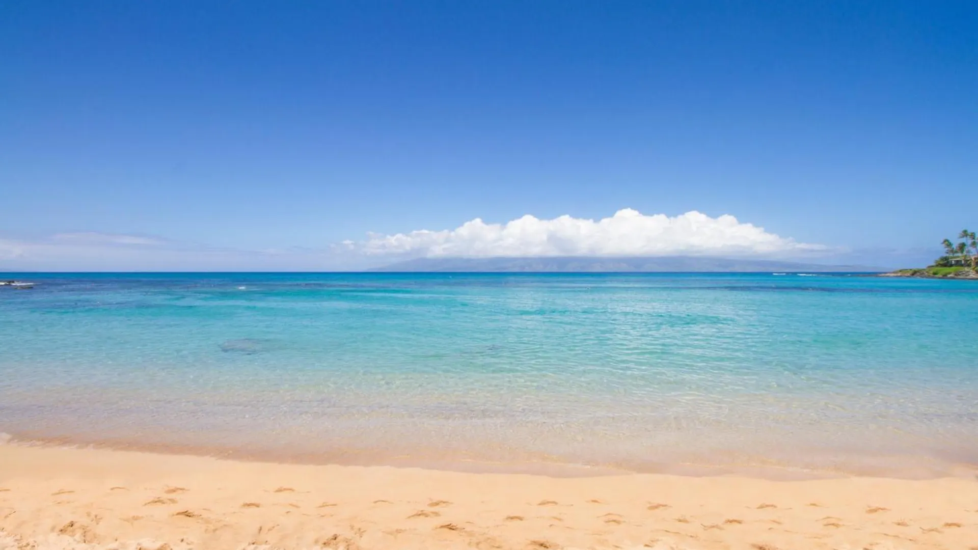 Napili Bay Steps From Ocean! Nb204 - Sullivan Kahana 0*,  Estados Unidos
